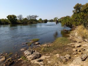 shore of Zambezi River
