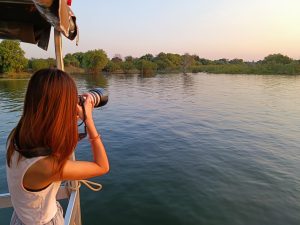 Zambezi River boat safari